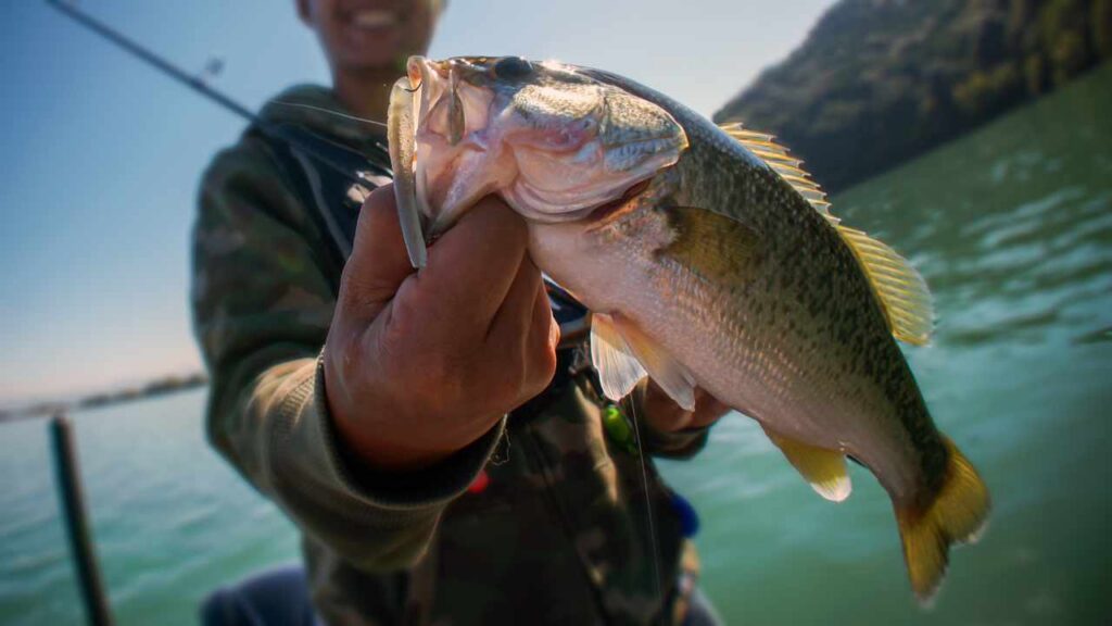 a fisherman holding a fish