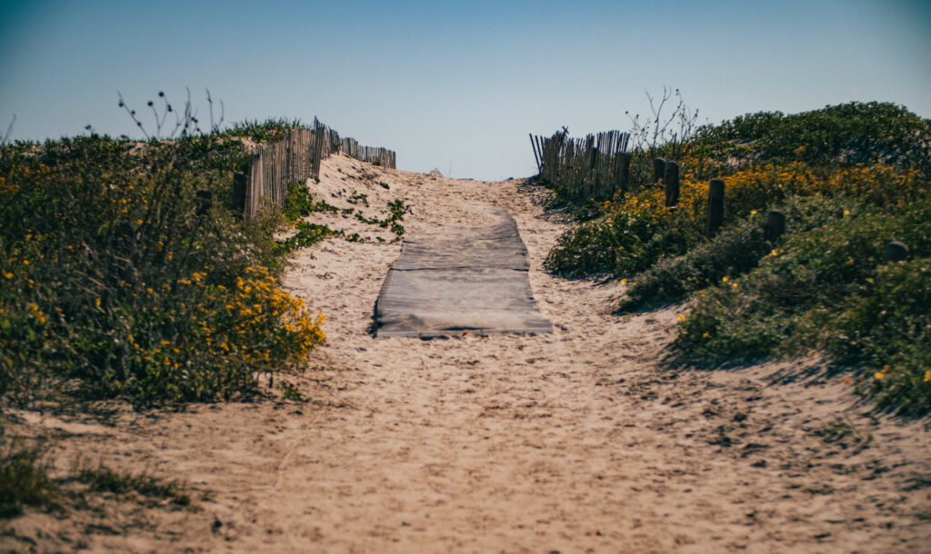 a view of a beach walkway